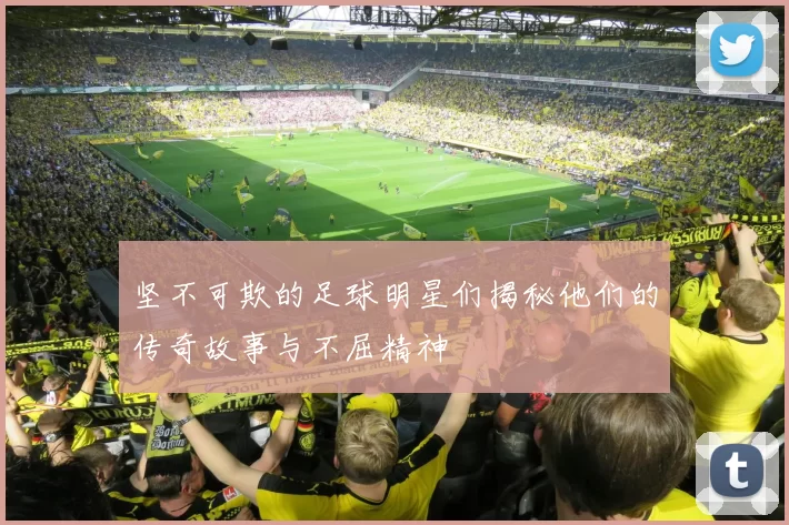 坚不可欺的足球明星们揭秘他们的传奇故事与不屈精神