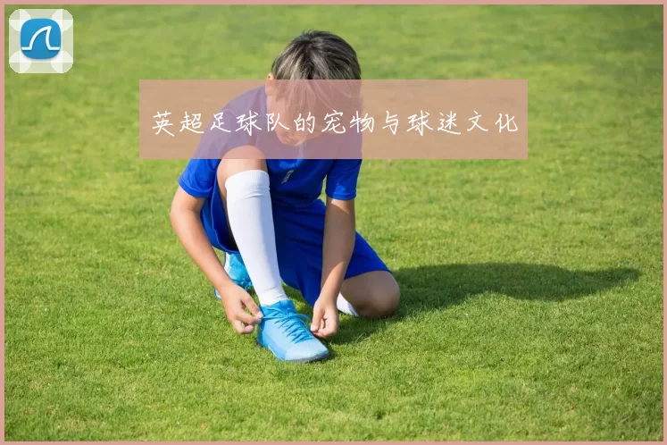 英超足球队的宠物与球迷文化
