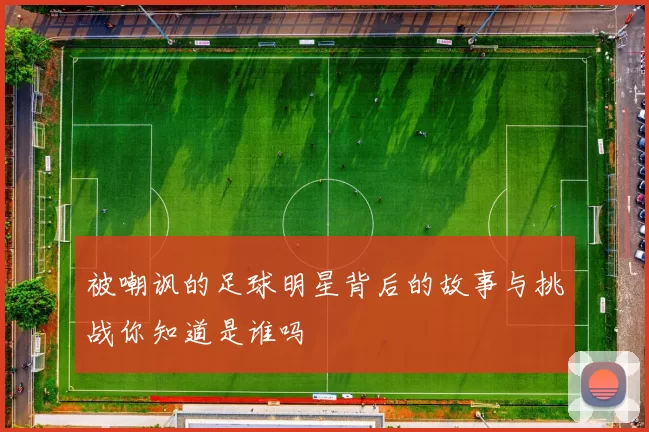 被嘲讽的足球明星背后的故事与挑战你知道是谁吗