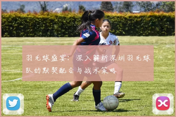 羽毛球盛宴：深入解析深圳羽毛球队的默契配合与战术策略