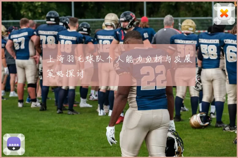 上海羽毛球队个人能力分析与发展策略探讨
