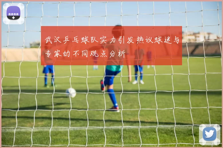 武汉乒乓球队实力引发热议球迷与专家的不同观点分析