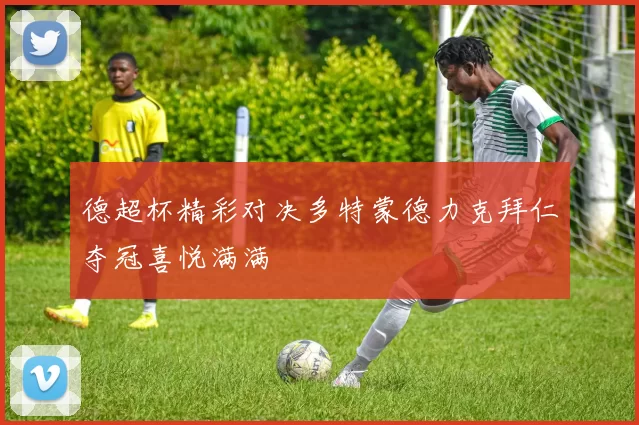 德超杯精彩对决多特蒙德力克拜仁夺冠喜悦满满